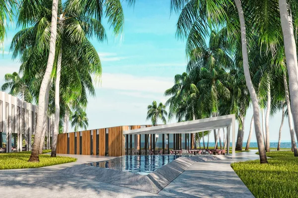 paloma-finesse (14).jpg