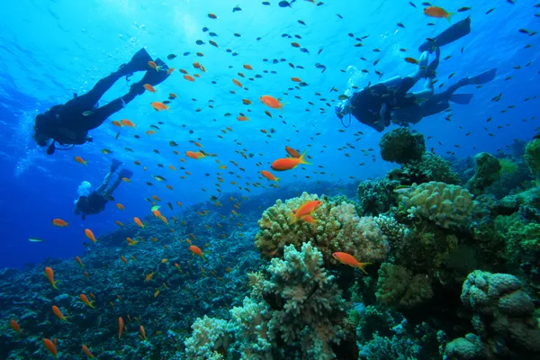Snorkelen en duiken in Punta Cana