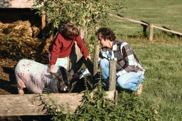 BoerenBed De Kalverweide