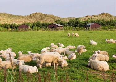 BoerenBed De Zeekraal 