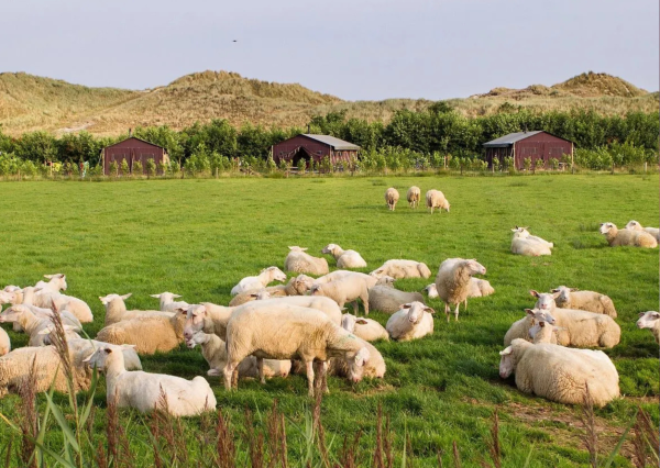 BoerenBed De Zeekraal