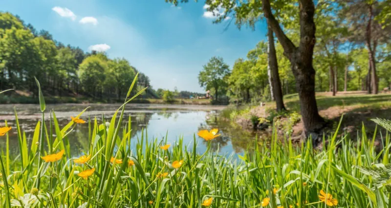 vakantiepark-de-bergen.jpg