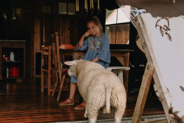 BoerenBed Landgoed ter Wijnendale