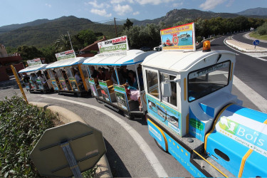 Kindvriendelijke vakantie in Frankrijk - Vakantiepark Le Bois Fleuri - Argelès-sur-Mer