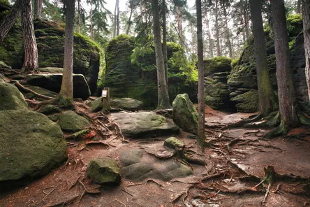 Oost-Bohemen