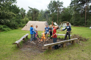 de-flaasbloem (2).JPG