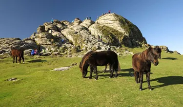 Vakantiepark Beverley Park 