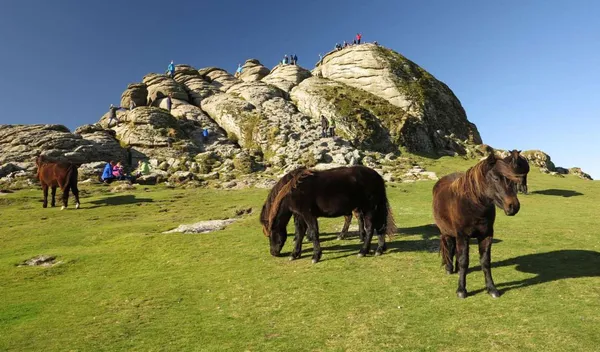 Vakantiepark Beverley Park 