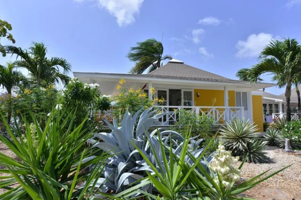 TIME TO SMILE Chogogo Curacao 