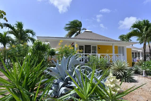 TIME TO SMILE Chogogo Curacao 