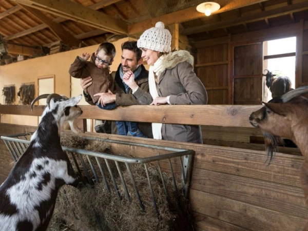 Center Parcs Les Trois Forets