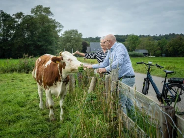 Residence Berger Duinen