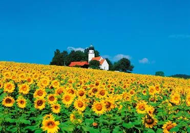 Sonnhof's Ferienresidenz