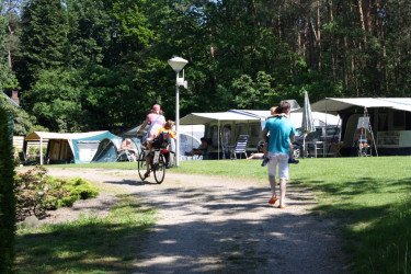 camping-de-bosrand (10).jpg