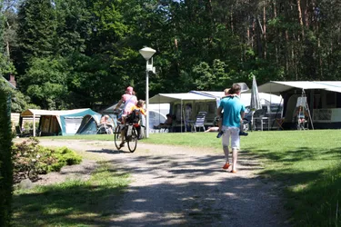 camping-de-bosrand (10).jpg