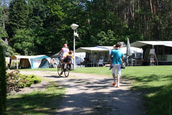 camping-de-bosrand (10).jpg