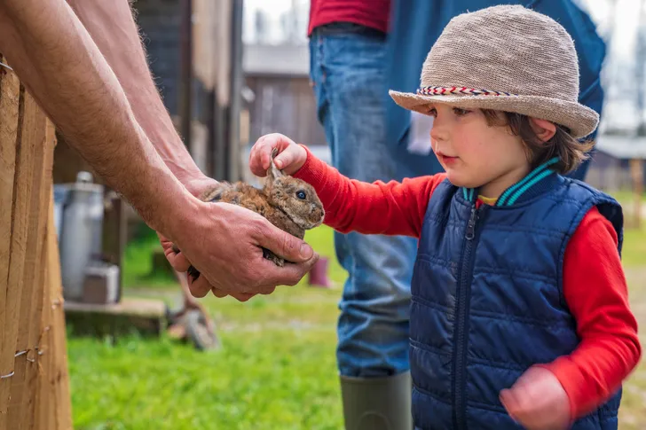 Kinderactiviteiten