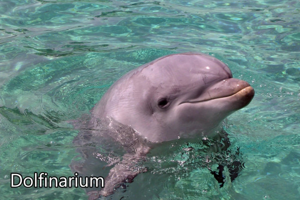 Capfun Vakantiepark De Scheepsbel