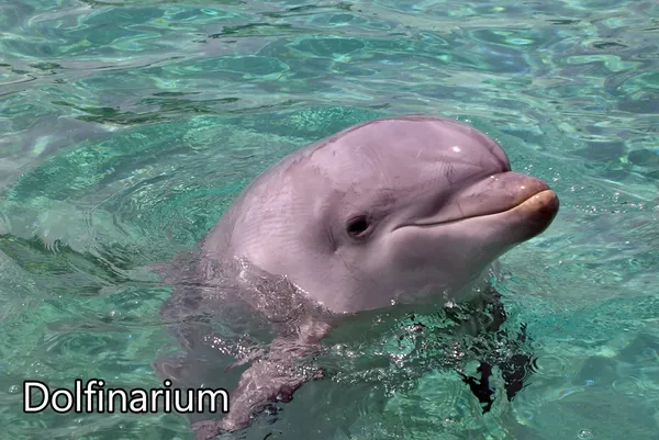 Capfun Vakantiepark De Scheepsbel