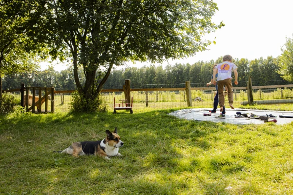 BoerenBed De Lange Weide