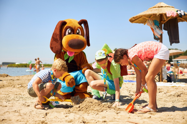 Hoofdafbeelding Zomer.jpg
