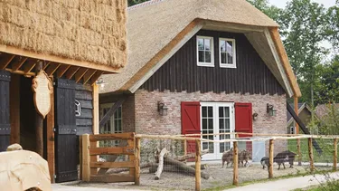 efteling-loonsche-land-hotel (8).jpg