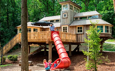 Luxe boomhut overnachtingen