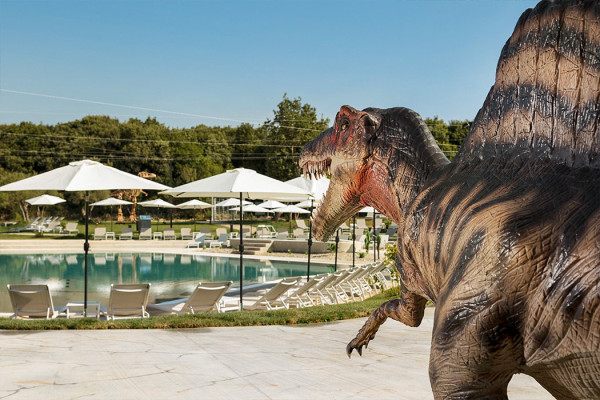 Camping Mon Perin (2).jpg