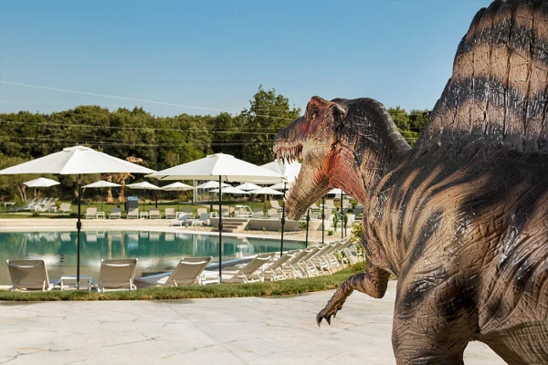 Camping Mon Perin (2).jpg