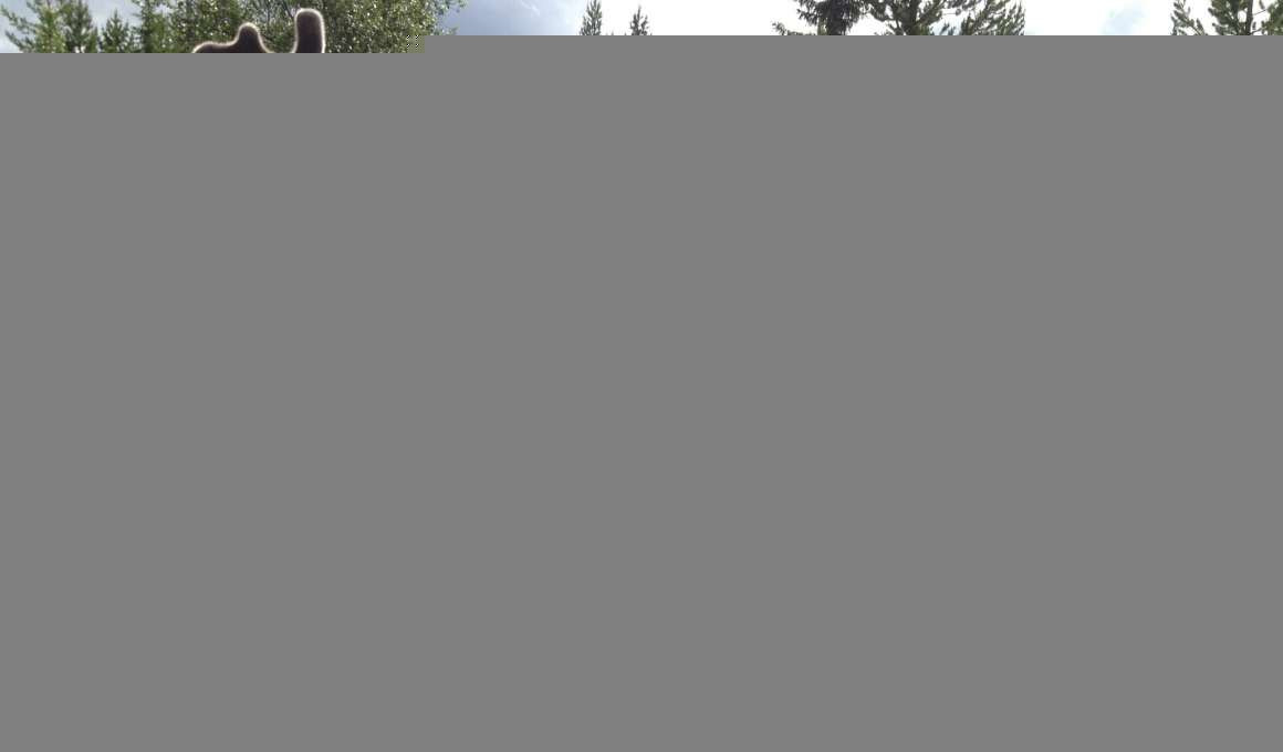 15- of 16-daagse rondreis 'Summer Adventure Sweden' - Zweden