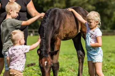 Landgoed de Scheleberg (14).jpg