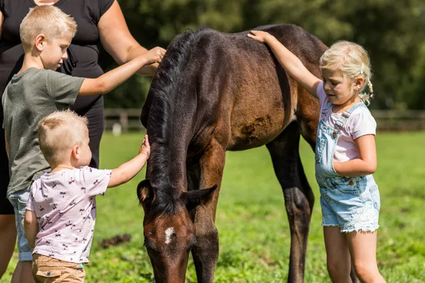 Landgoed de Scheleberg (14).jpg