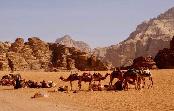 Op avontuur in Jordanië