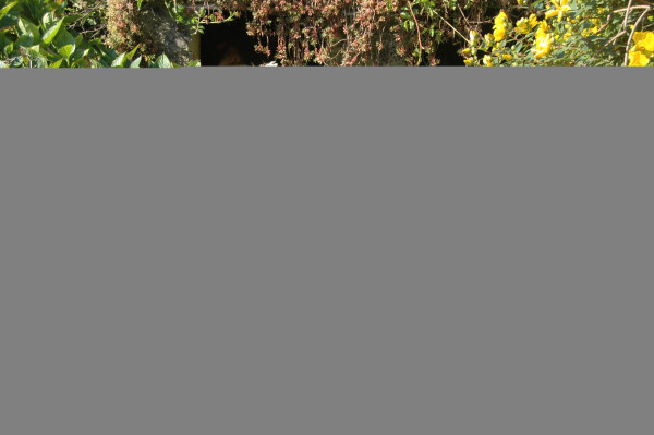 La Ferme de Penquelen