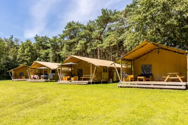 Roompot De Katjeskelder