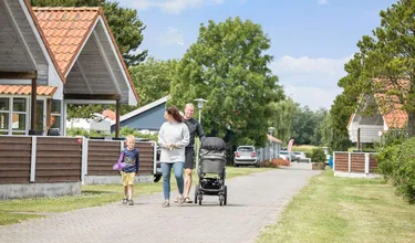 First Camp Bogense City