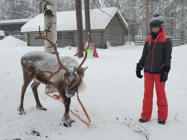 Zweeds Lapland met kinderen