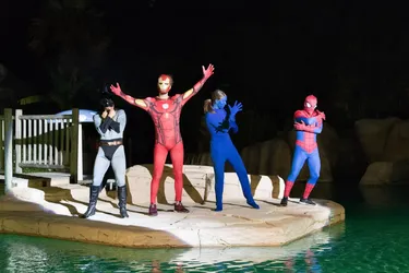 Camping Domaine des Ormes