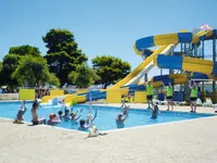 recently watched image