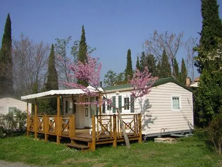 Sunêlia l'Hippocampe