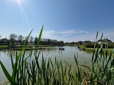 vakantiepark limburg, vlotvaren bij de leistert