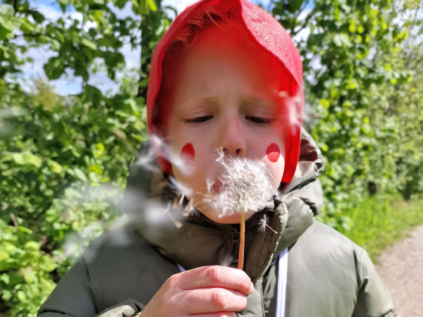 REVIEW: luxe kamperen bij TerSpegelt met Estivo Travel