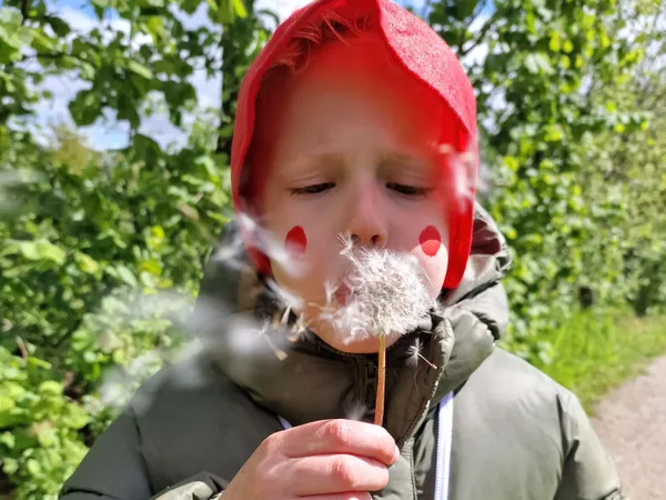 REVIEW: luxe kamperen bij TerSpegelt