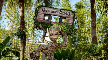 Walt Disney World