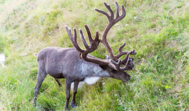 14-Daagse rondreis Nore