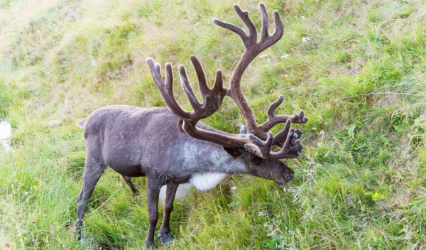 14-Daagse rondreis Nore