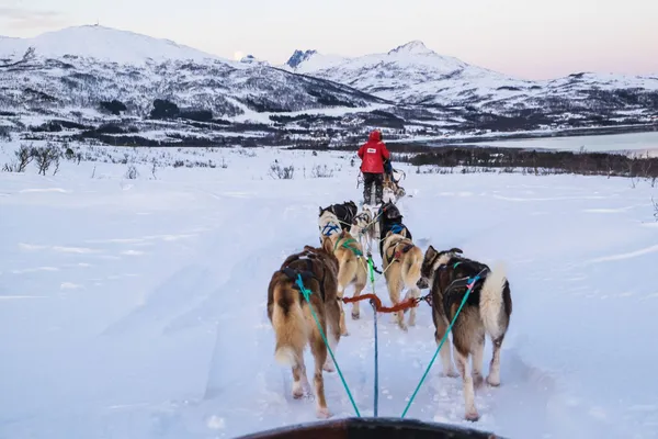 TUI wintersport naar Scandinavië