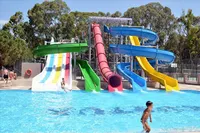 recently watched image