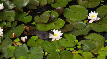 vakantiepark-resort-citta-romana (4).jpg