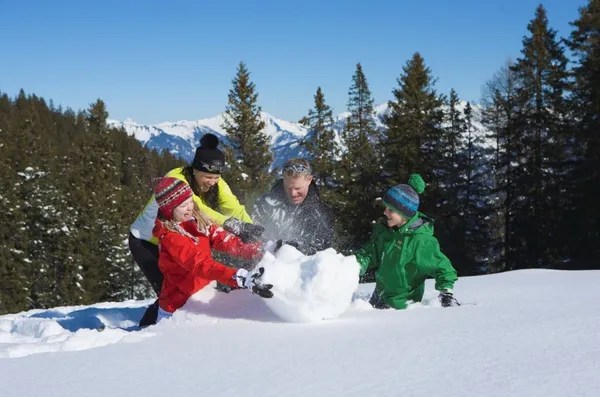 Vorarlberg skigebied